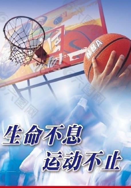 不少业内人