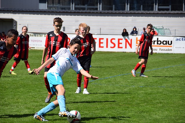 并积极推动 并积极推动