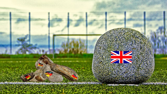 的成长过程 的成长过程