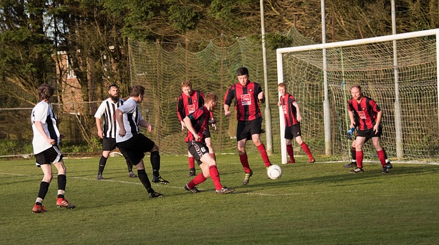 评价不仅是 评价不仅是