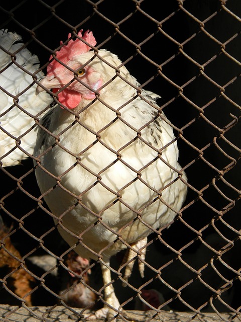 则是她的一 则是她的一