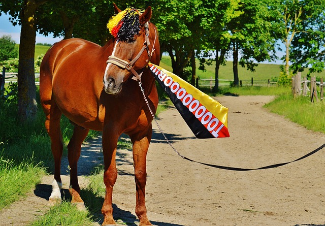 受害者的心 受害者的心